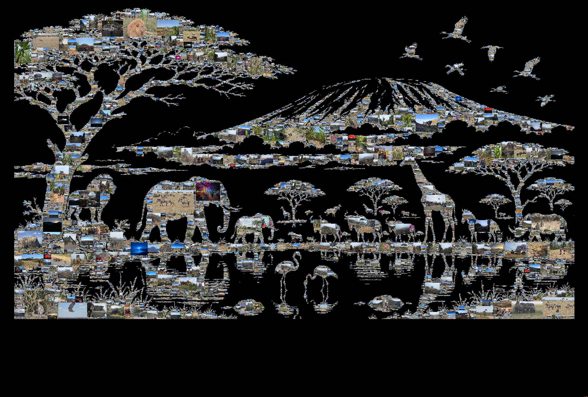 Serengeti and Kilimanjaro
